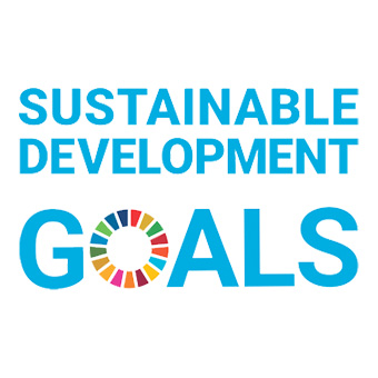 The 17 Sustainable Development Goals